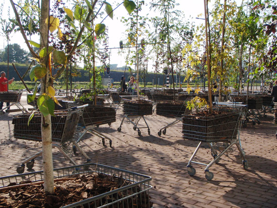 moving forest | Shu Lea Cheang 