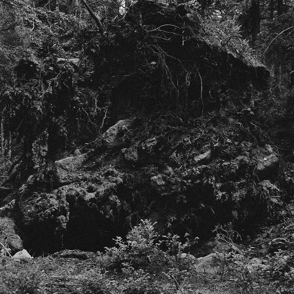 N°1 | Lisières,
Vincent Chevillon,
Photographie argentique
70 x 70 cm
2020