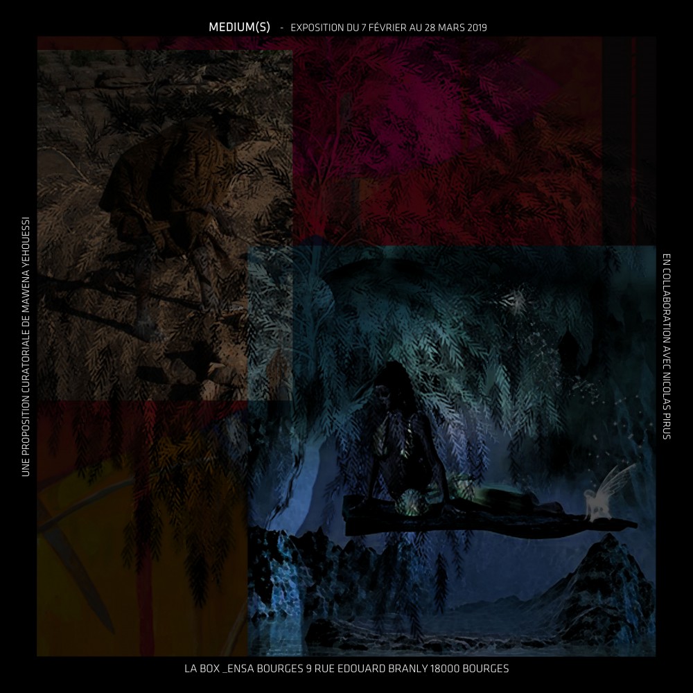 Nicolas | https://www.ensa-bourges.fr/index.php/fr/la-box/2016-2017/la-box-programmation-archives/346-box-programmation-2019-2020/7092-medium-s