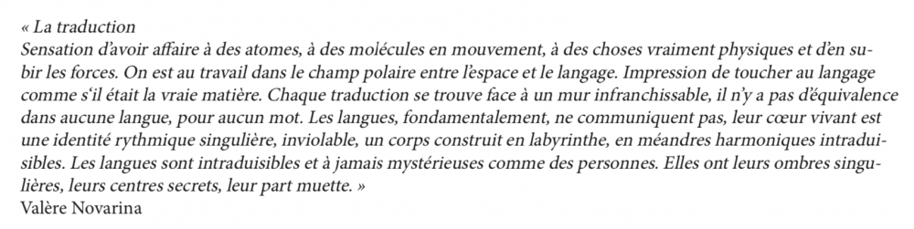 Novarina def Traduction | 