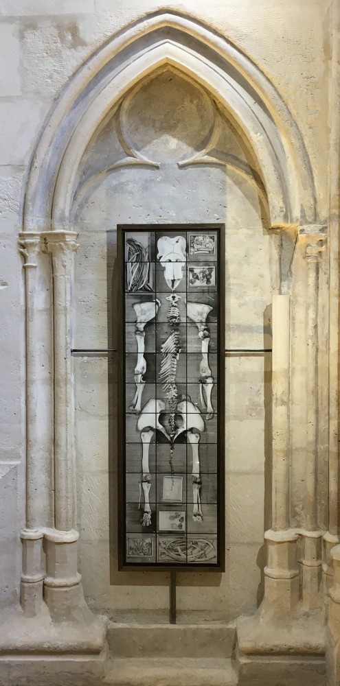 Orion aveugle (sacristie) | Orion aveugle
Vincent Chevillon,
Photographie
143,4 x 39,41 cm
Ancienne sacristie duCollège des Bernardins
Exposition Time Lapses Us
Septembre 2021