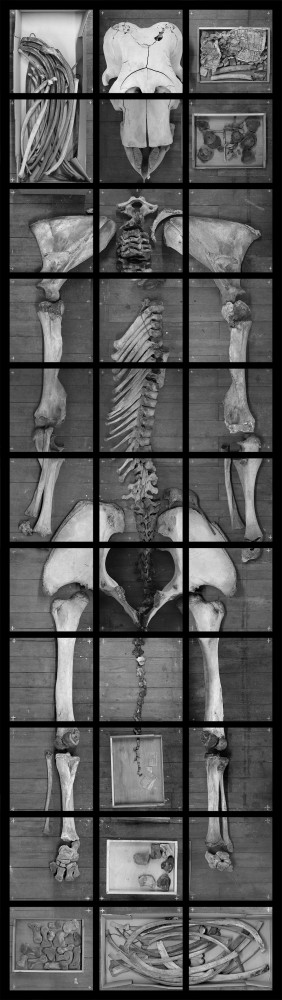 Orion aveugle | Orion aveugle,
Vincent Chevillon,
Photographie
143,4 x 39,41 cm