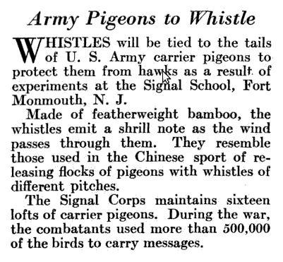 pigeon whistle | 1800