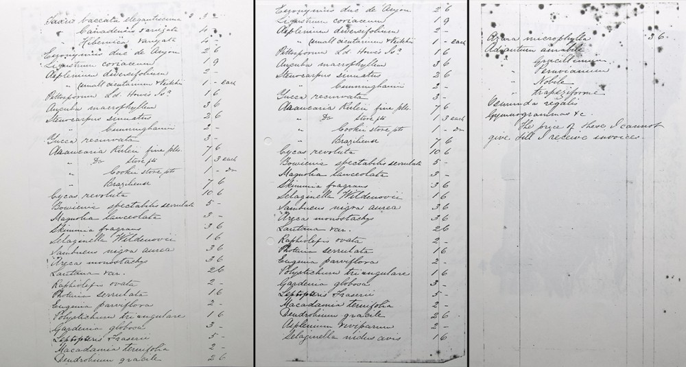 Plants catalog | List of plant sell by James Dall
Archive from Te Papa Museum