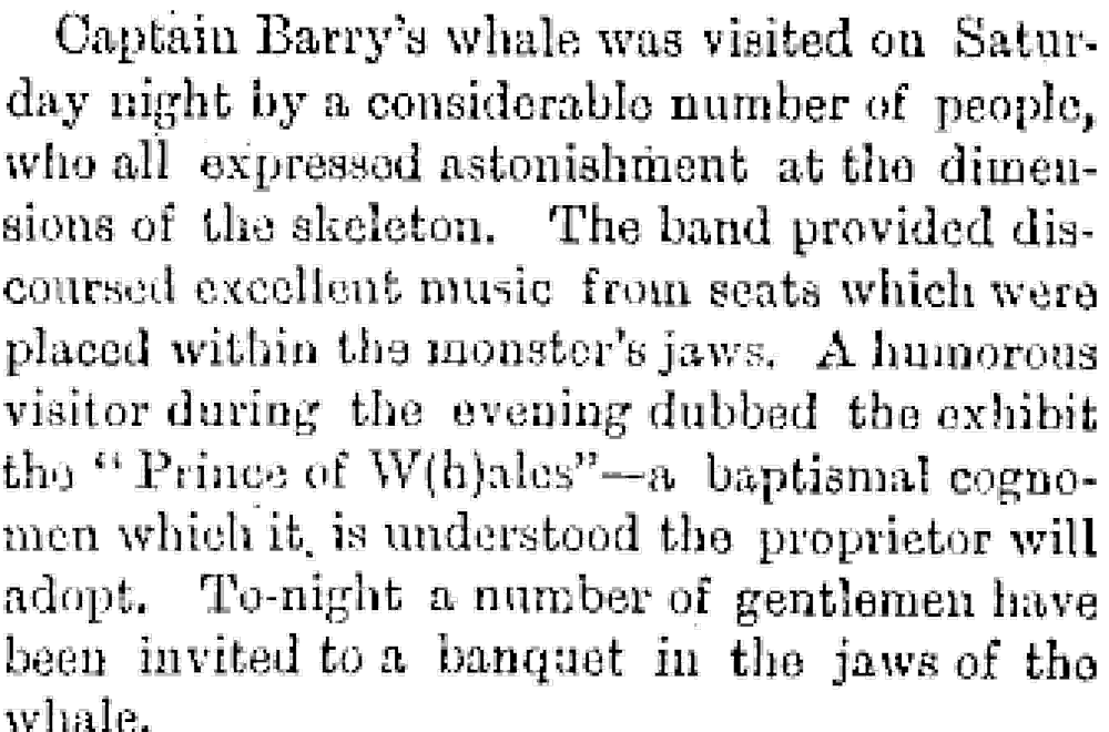 Prince of W(h)ales | Otago daily times
July 9, 1883