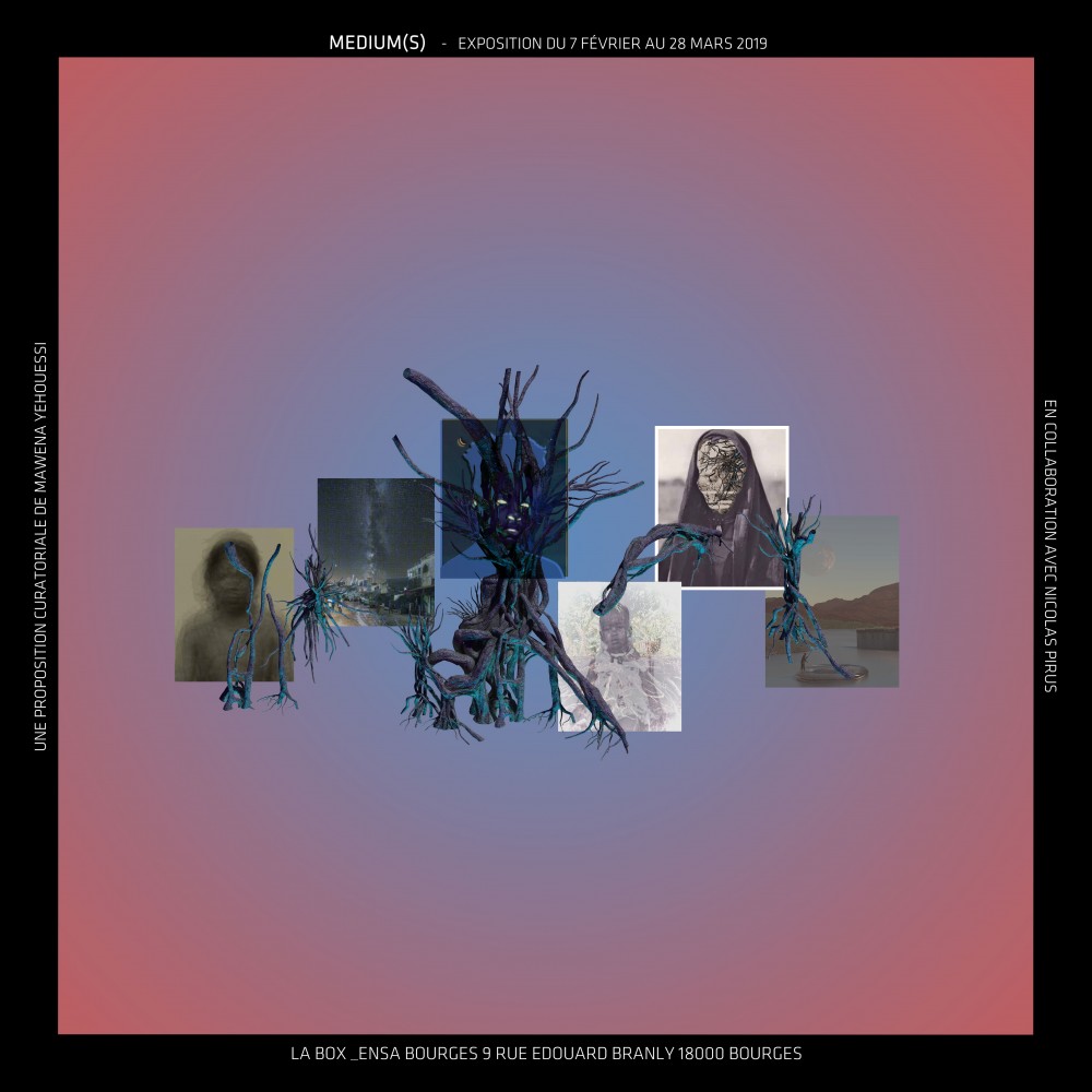 Principe | https://www.ensa-bourges.fr/index.php/fr/la-box/2016-2017/la-box-programmation-archives/346-box-programmation-2019-2020/7092-medium-s