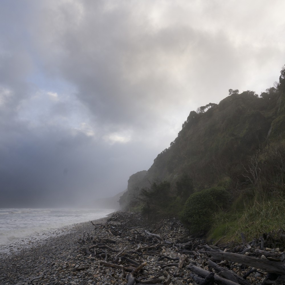 Rarakau | PHYSETER MACROCEPHALUS
12/05/1971 - 01/01/1986
Rarakau