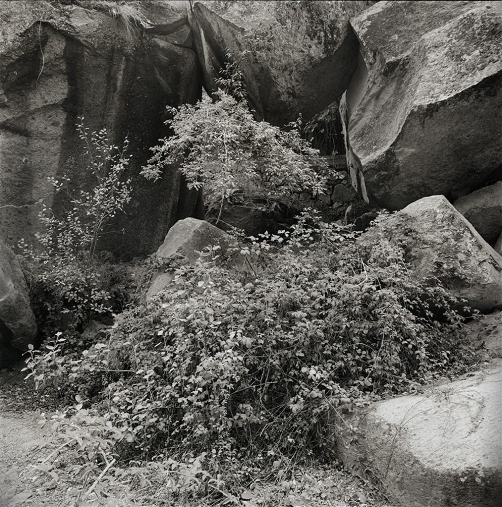 Ravine 2 | Ravine,
Vincent Chevillon,
Photographie
56,5 x 56,5 cm