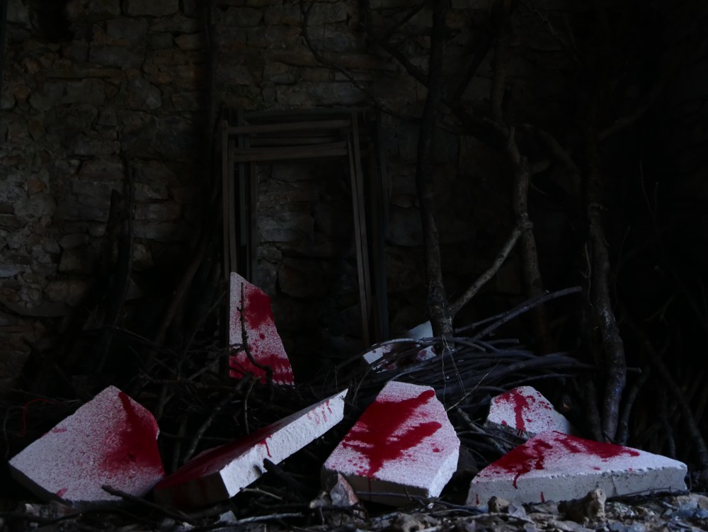 Rituel4 | Installation - bois, sang de porc