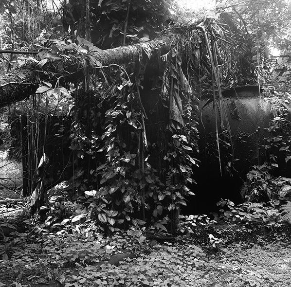 Ruine 01 | Distillerie abandonnée, distillerie01