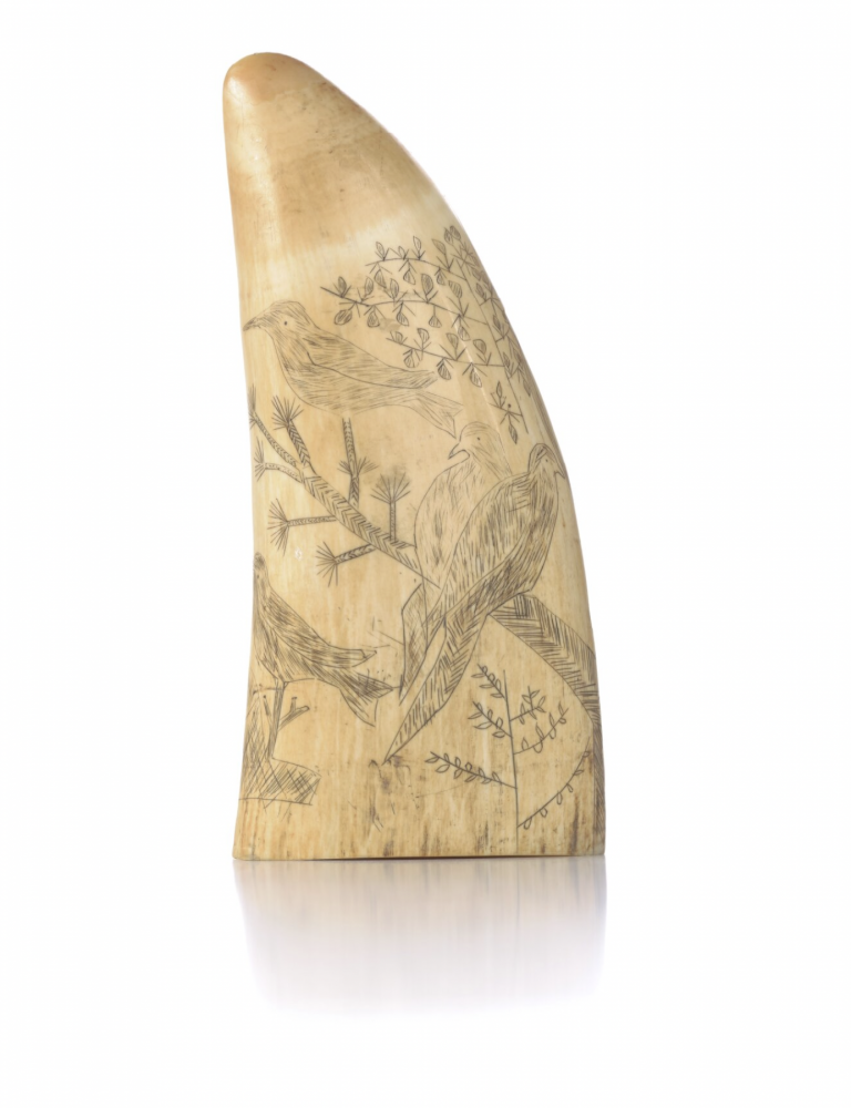 Scrimshaw 2 | Anonyme
Scrimshaw
Dent de cachalot gravée
Aotearoa (Nouvelle Zélande)
Coll. Te Papa Tongarewa