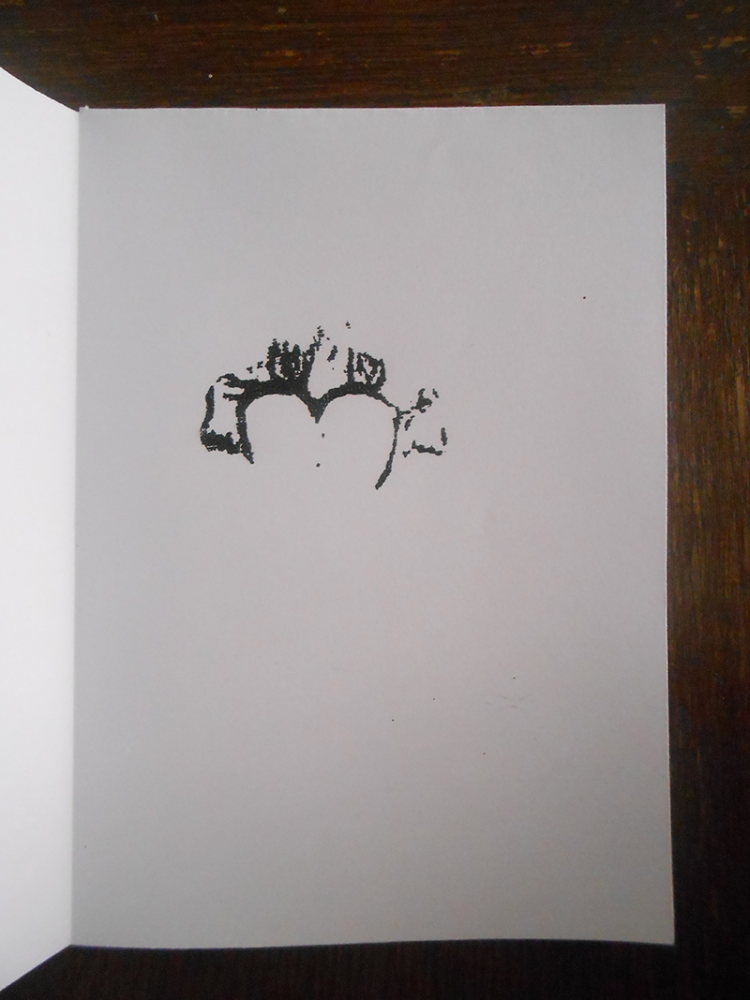 sérigraphie 2 | sérigraphie maison diy, avril 2020