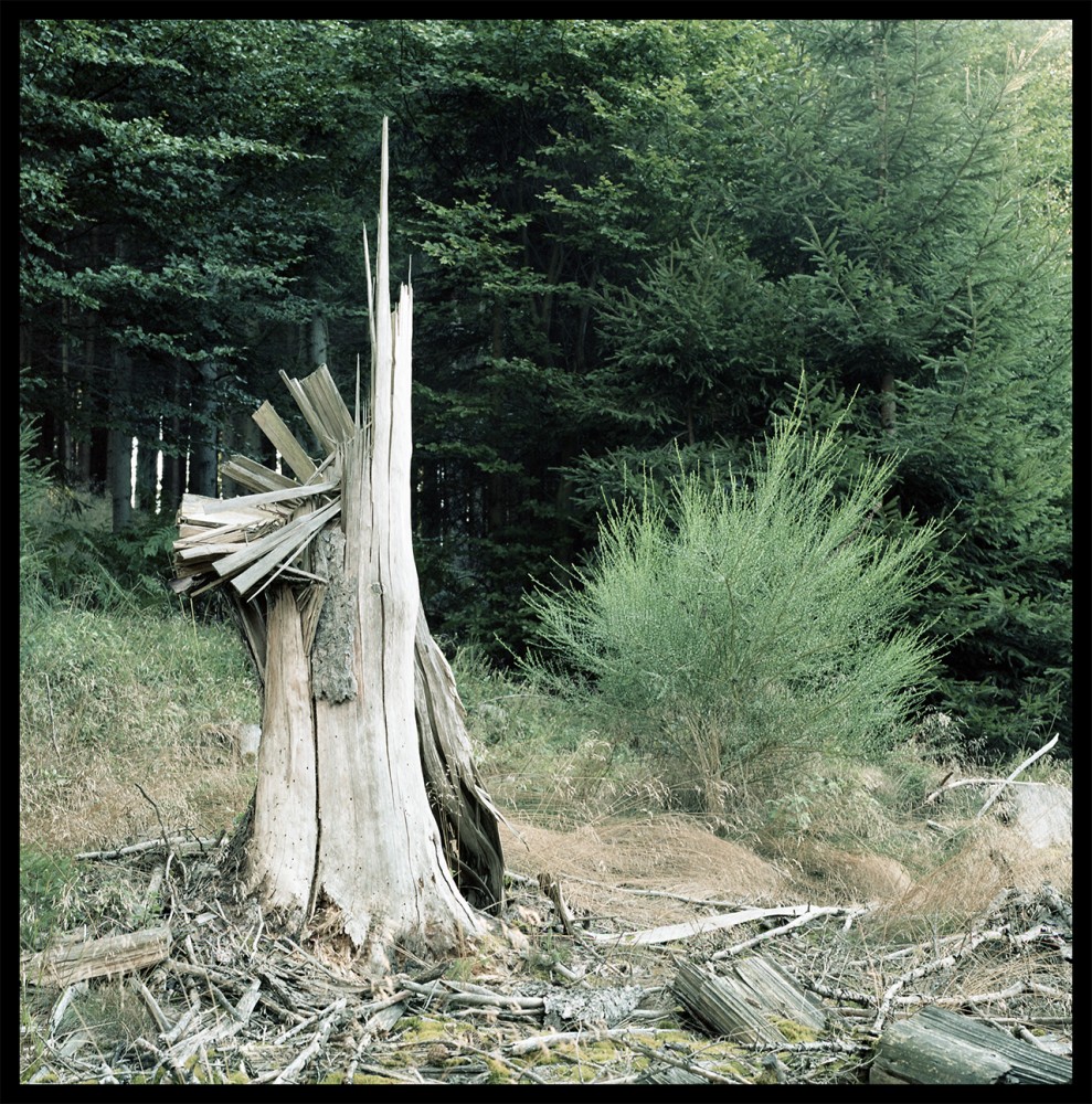 Splash | Photographie argentique