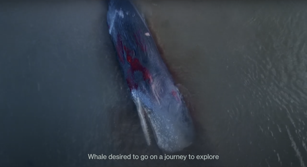 Te Wao Nui (film) | Ngariki NGATAE
Te Wao Nui
11 minutes
Loading Docs