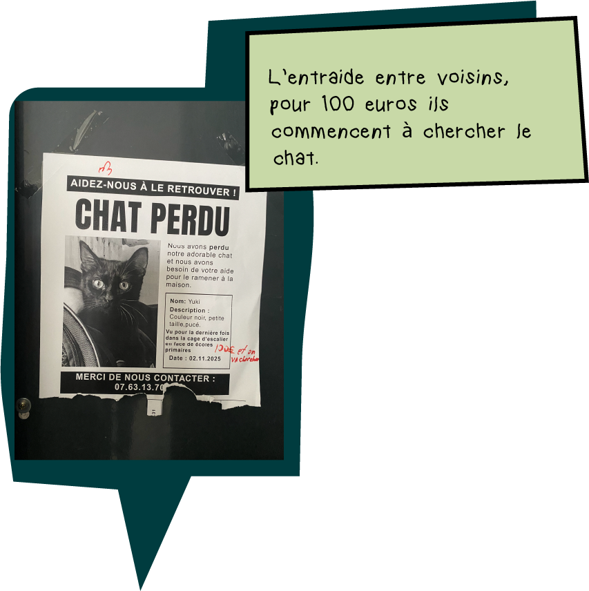 texte chat | 