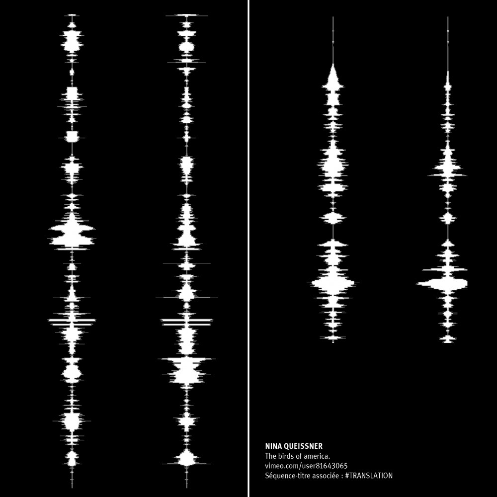 The birds of america | NINA QUEISSNER
The birds of america.
vimeo.com/user81643065