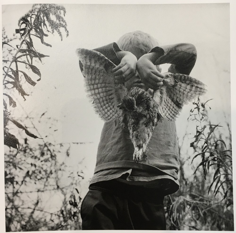 The locust | Jesse Lenz
Extrait du livre The locust
Embossed linen with tip-in image
9.75 x 12.25
144 pages