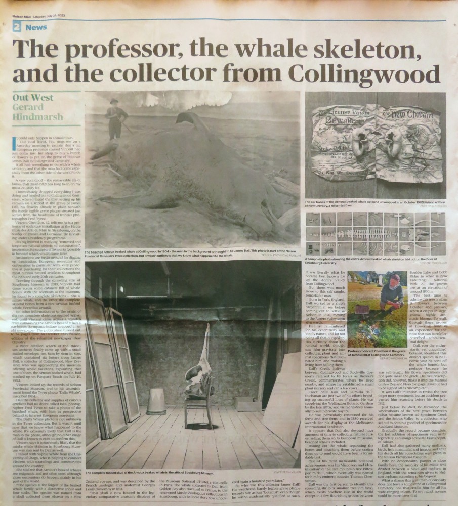 The professor, the whale and the collector | Gerard Hindmarsh
The professor, the whale and the collector from Collingwood
29/07/2023
Nelson Mail