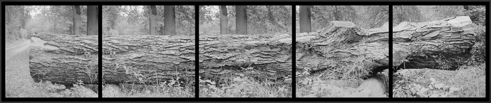 Time lapses us ... | Vincent Chevillon
Time lapses us ... 
Ensemble photographique.
308 *72 cm