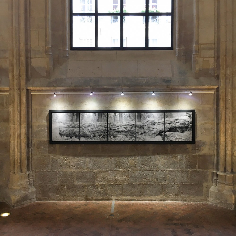 Time lapses Us (Bernardins) | Time Lapses Us
Chevillon Vincent
Vue d'exposition
Ancienne sacristie du collège des Bernardins
2021