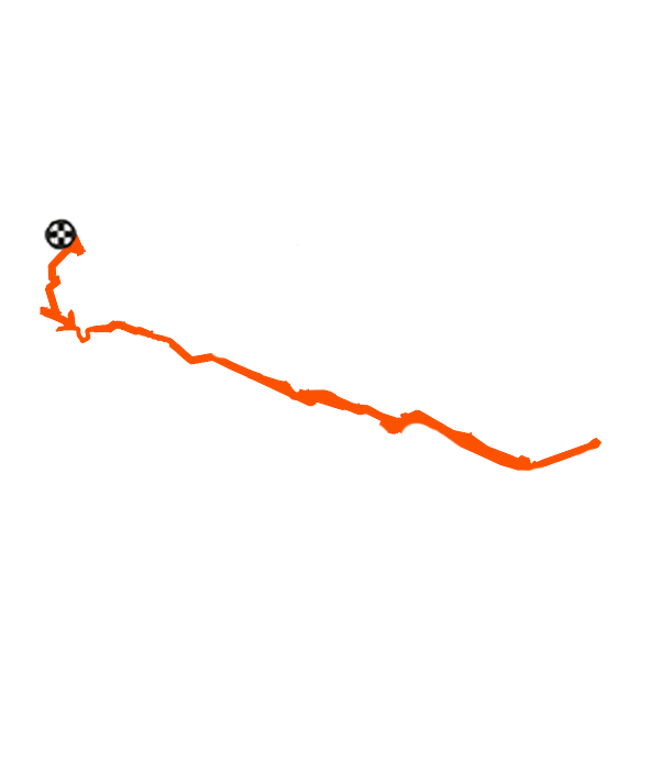 trajet Femme 50 ans | Femme de 50 ans
Trajet: Marche à pied
Possession: 

1 sac de course lidl
1 cabas à roulette

