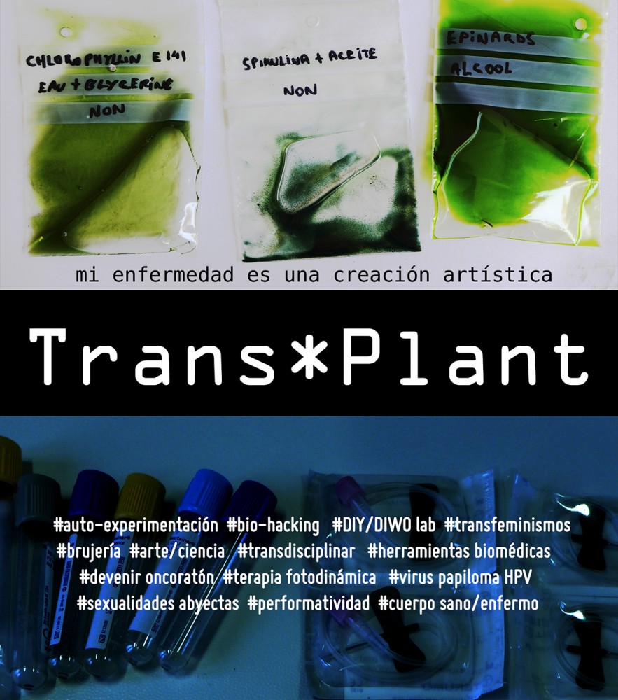 Trans*Plant | https://quimerarosa.net/transplant/