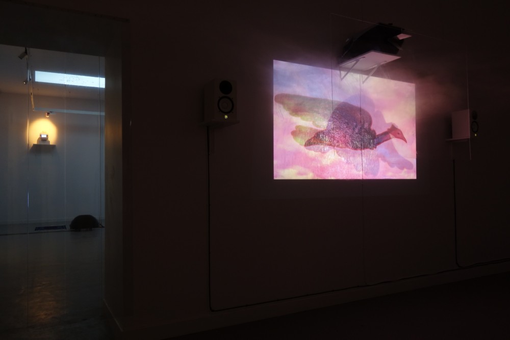 transversal #10 | Ezra Wube pour MEDIUM(S), 2019