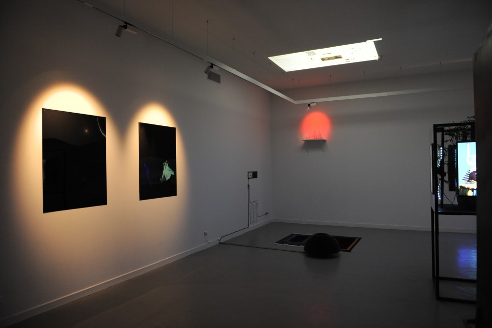 transversal #37 | vue d'ensemble MEDIUM(S), 2019