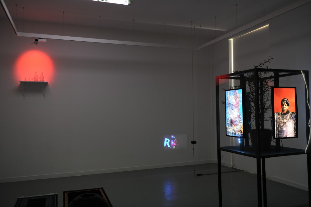 transversal #38 | vidéo-projection : Tifaine Coignoux ; vue d'ensemble MEDIUM(S), 2019