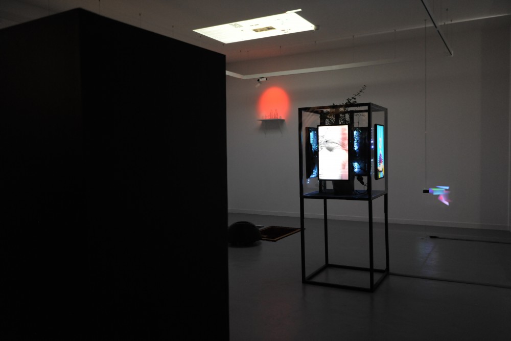 transversal #39 | visible à l'écran : Sun Ra ; vue d'ensemble MEDIUM(S), 2019