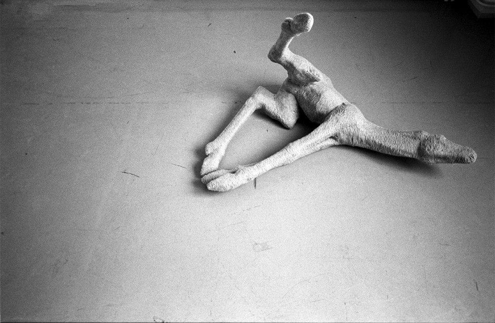 Une charogne | Vincent Chevillon
Sans titre
Bois, corde, semence de tapissier
120 x 170 x 135 cm