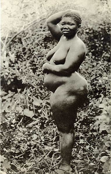 Venus Hottentote | Inconnu, inconnu