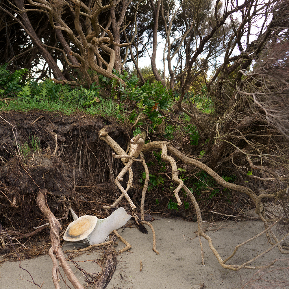 Vertèbre | Vincent Chevillon
Untitled