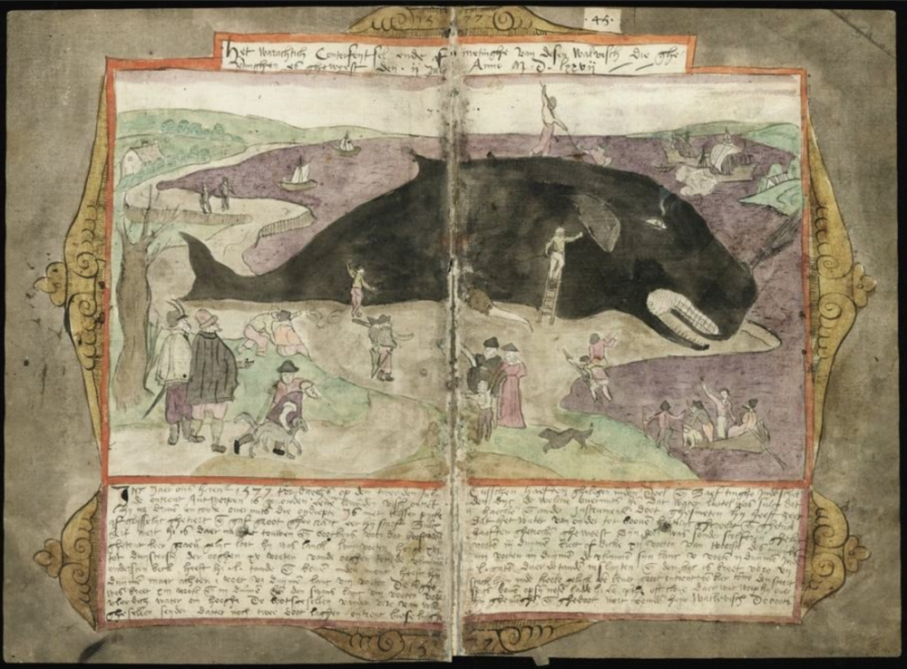 Walvisboek | Extrait du Walvisboek
Adriaen Coenen
Livre