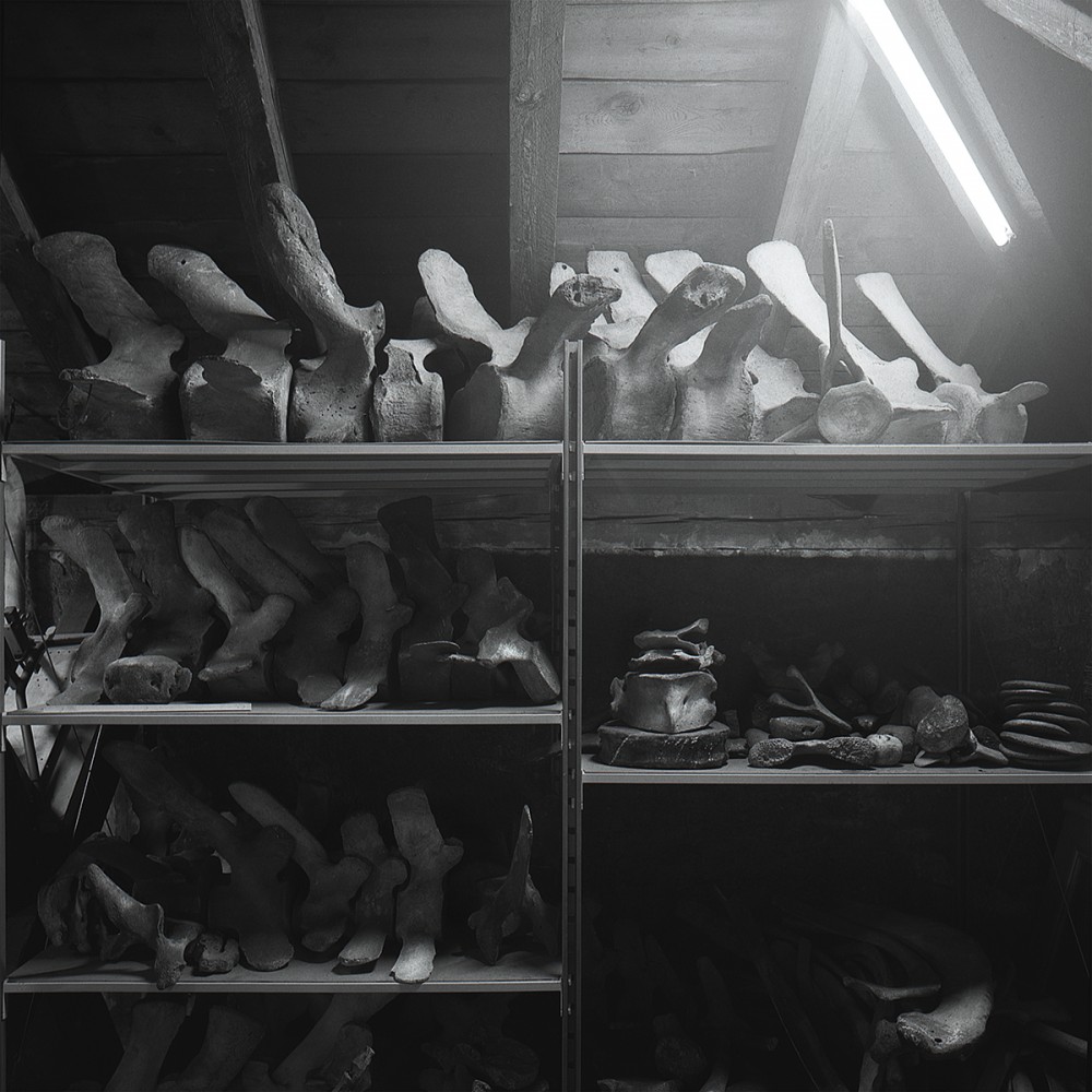 Whale remains stored on a rack | Whale remains
Vincent Chevillon
Photography
60 x 60 cm