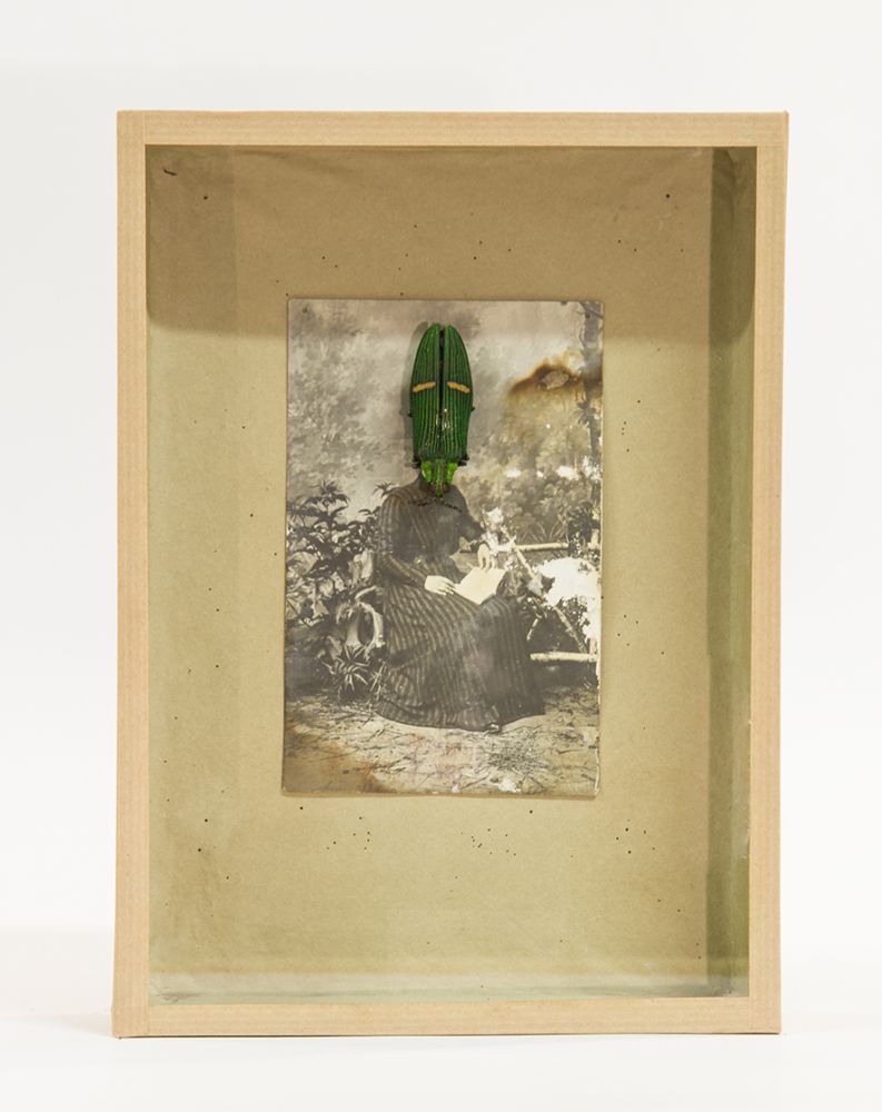 Bacchante n°8 | Les bacchantes,
Vincent Chevillon,
Carte postale, Coleoptère, aiguille, ​boîte entomologique, verre,
25 × 20 cm,
2016