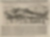 Baleine prise en Méditérrannée | Baleine prise en Méditérrannée le 14 février 1619
Frommer, Michael
Estampe