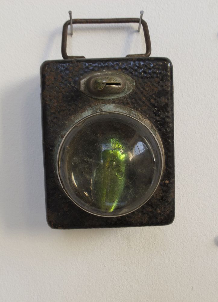 Bug | Chevillon Vincent, Bug, 2015