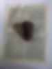 Cai(r)n | Vincent Chevillon, ...raising cai(r)n..., 30 × 20 × 20 cm, 2016