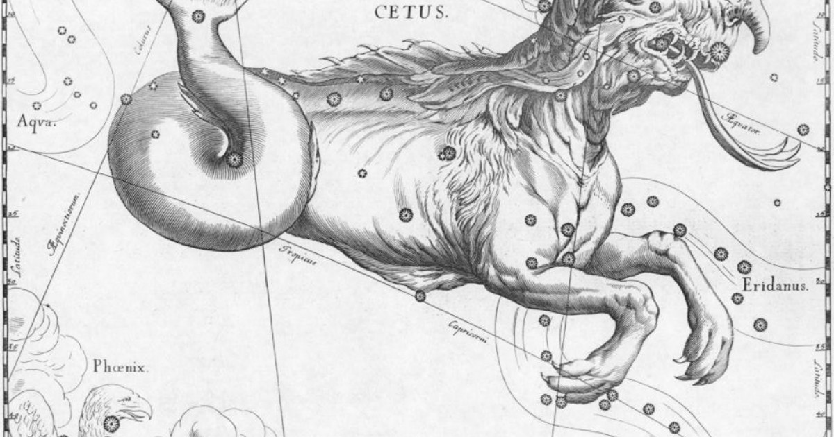 Cetus