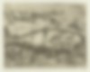 Gestrande walvis bij Berckhey 2 | Anonyme
Gravure
Papier
22,7 cm × 29,1 cm