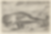 La baleine de  Noordwijk | Sans titre,
Gravure relatant l'échouage d'un cachalot le 28 décembre 1614