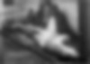 Monster tanawhia shark | Jones, Frederick Nelson, 1881-1962
Photography