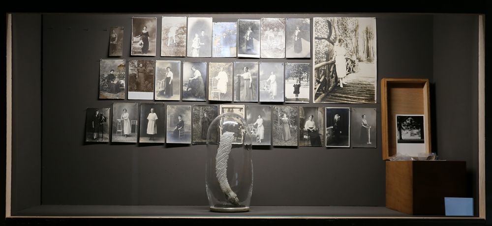 Pandora | Vincent Chevillon, Pandora, 55 × 140 × 44 cm, 05.2016