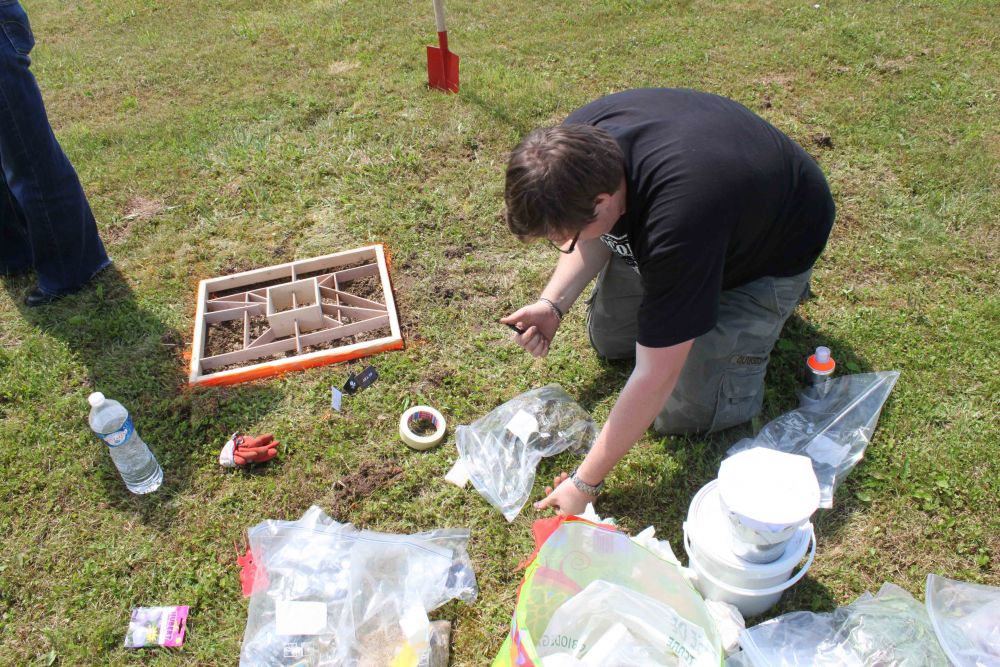 Plantation 03 | thomas lasbouygues, plantation 03 / prélèvements 03 /