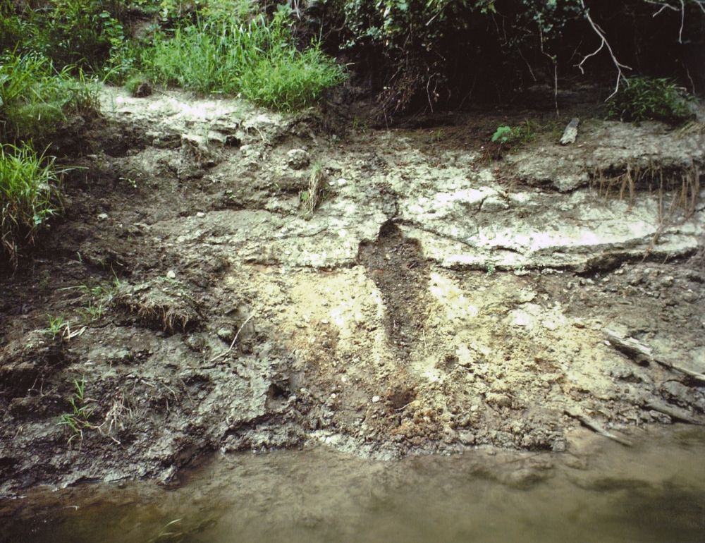 Silueta | Ana Mendieta, Untitled, 1978