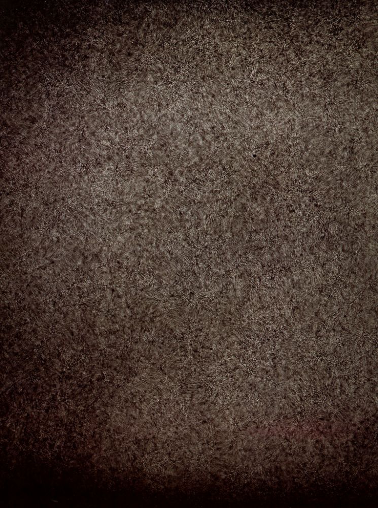 Surface solaire | Jules Janssen, Photographie de la surface solaire, 1884