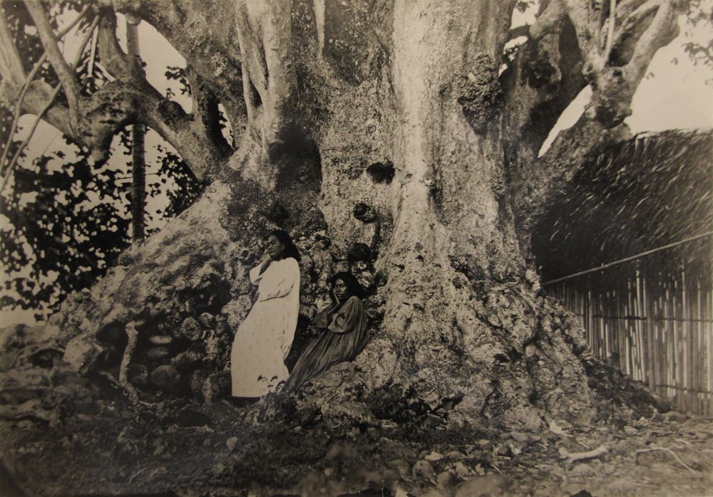 Temoana | P.E.Miot, Temoana, reine de Nouka-Hiva, 1869