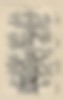 Tree of life | Tree of life
Ernst Haeckel