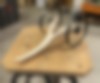Wagon | Vincent Chevillon
Scrimshaw
Bois, acier
18 x 40 x 21 cm
